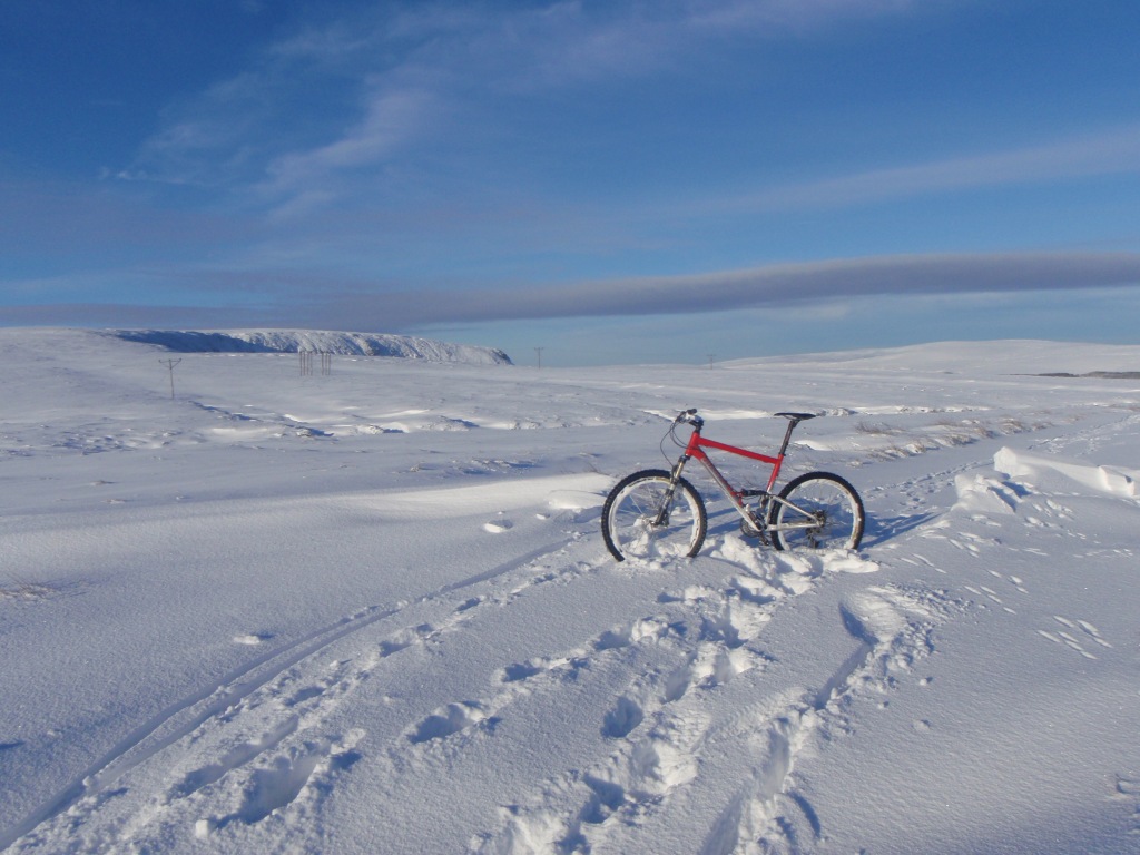 Bike Wedged in Snow